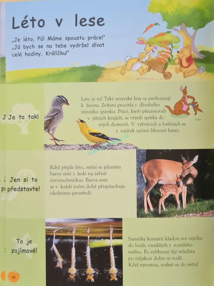 Kniha lesů