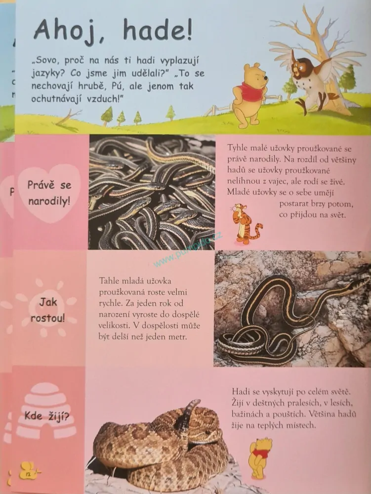 Kniha plazů a obojživelníků