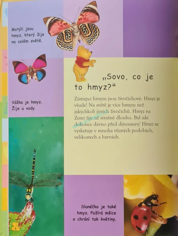Kniha hmyzu
